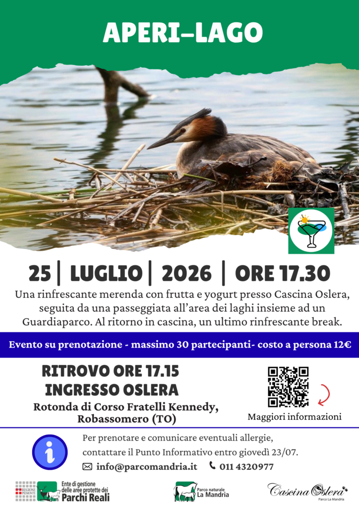 APERI-LAGO